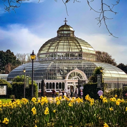 The Palm House Sefton Park Liverpol