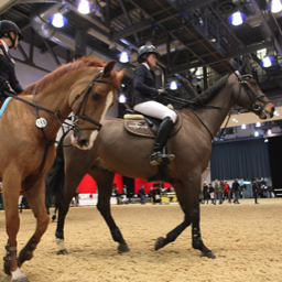 Liverpool International Horse Show 